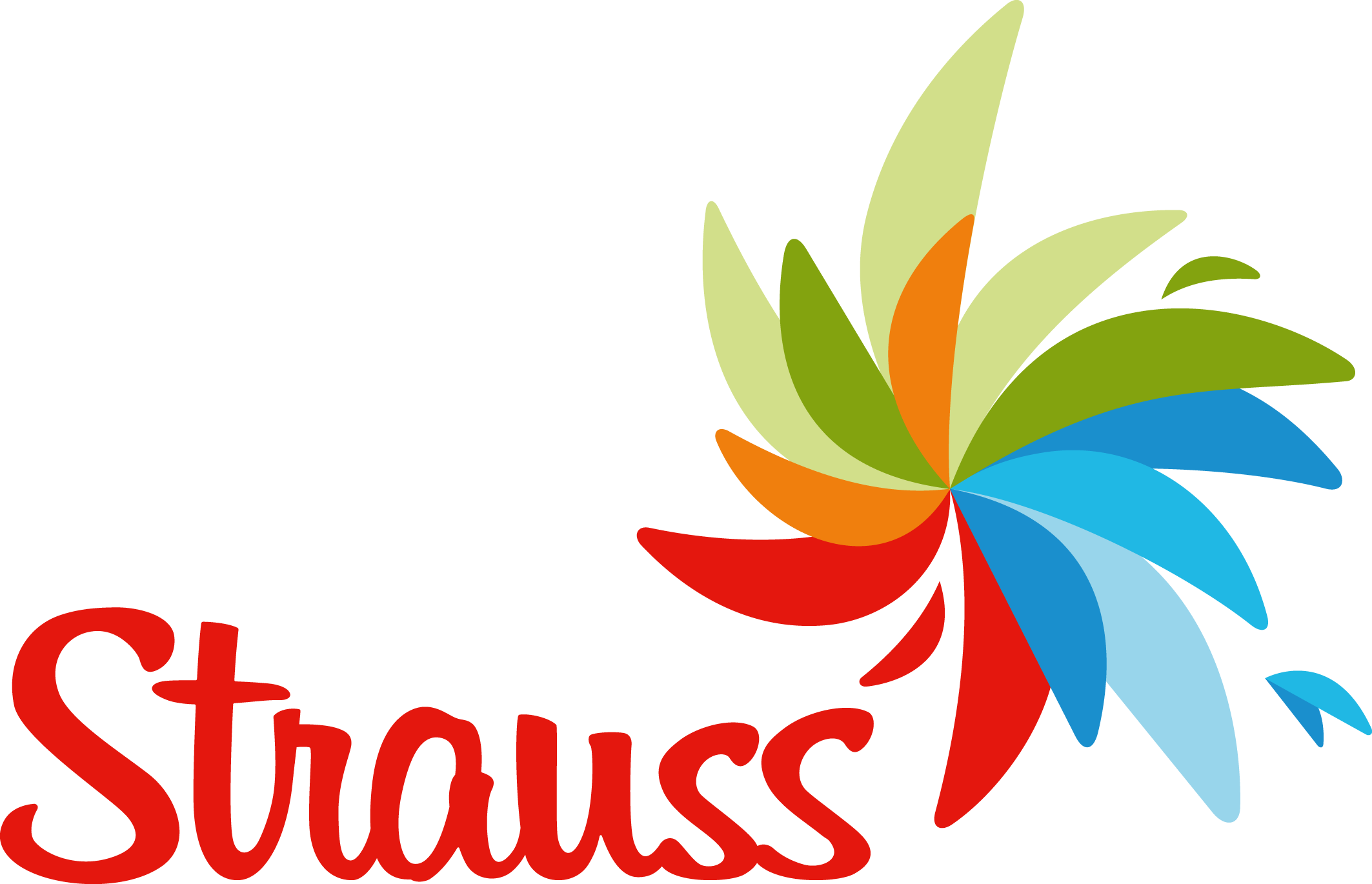 Logo_Strauss